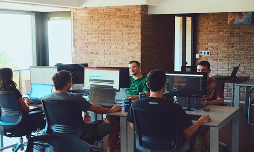 What services does the company provide https://www.digitalsense.ai/