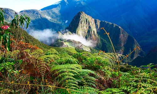 Best Tour Agencies to Visit Machu Picchu